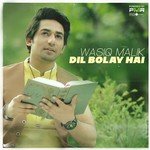 Wasiq Malik Songs MP3 Download